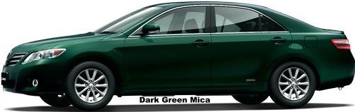 Dark Green Mica