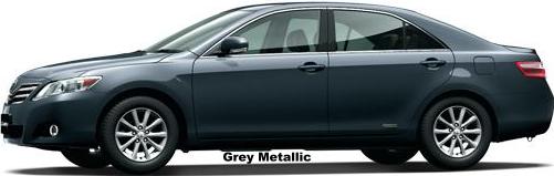 Grey Metallic