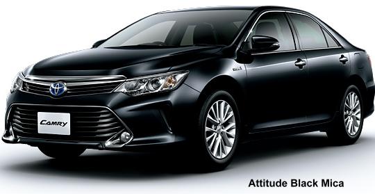 Attitude Black Mica