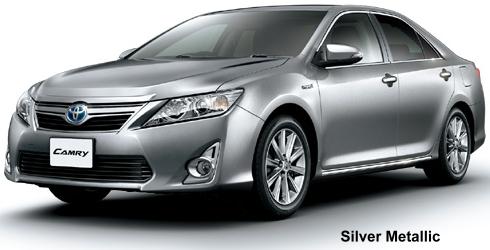 Silver Metallic