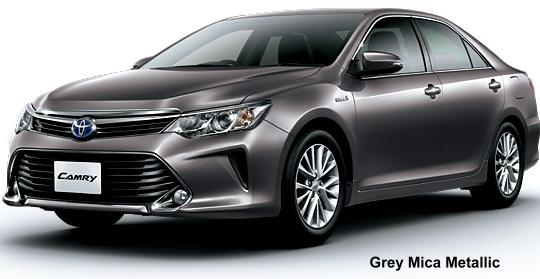 Grey Mica Metallic