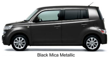 Black Mica Metallic