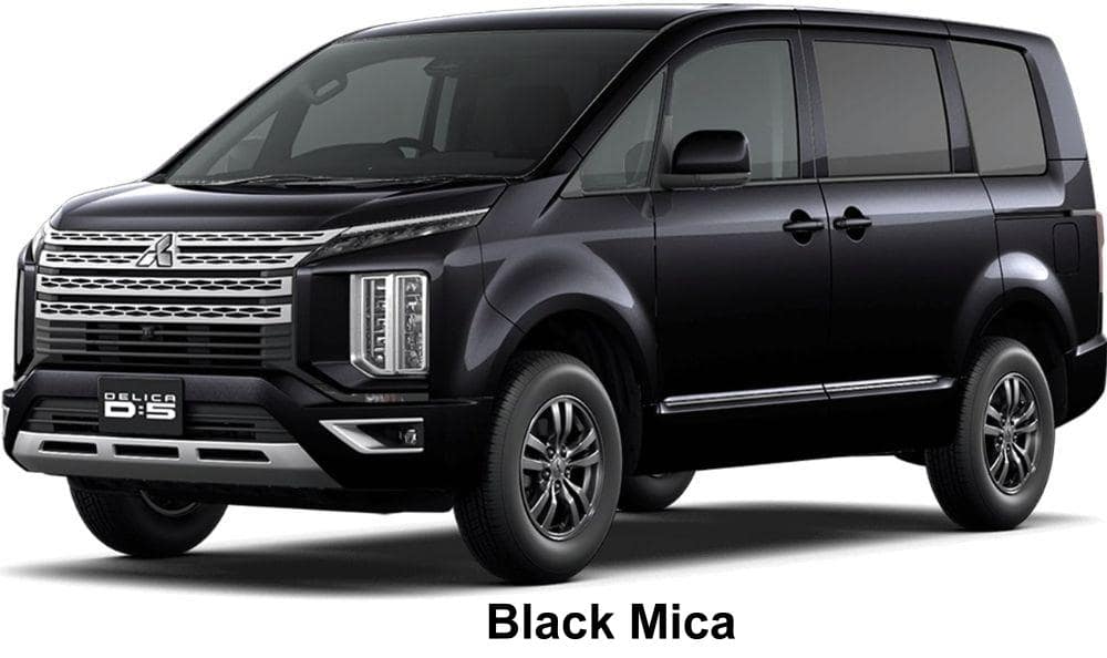 Mitsubishi Delica D5 body color: Black Mica