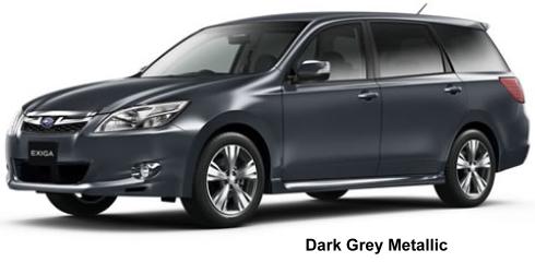 Dark Grey Metallic