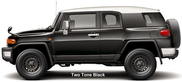 Two Tone Black