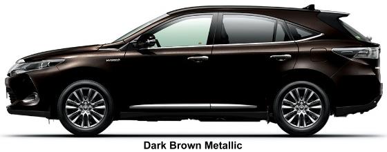 Dark Brown Metallic