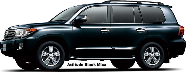 ATTITUDE BLACK MICA