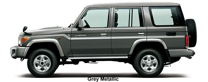 Grey Metallic