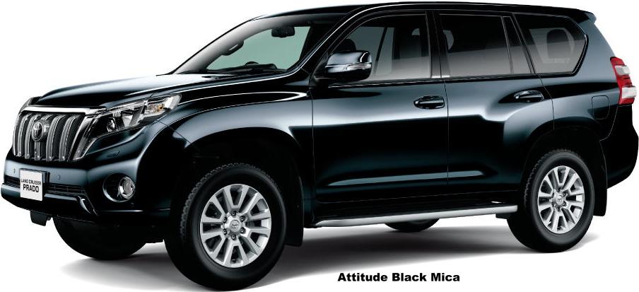 ATTITUDE BLACK MICA