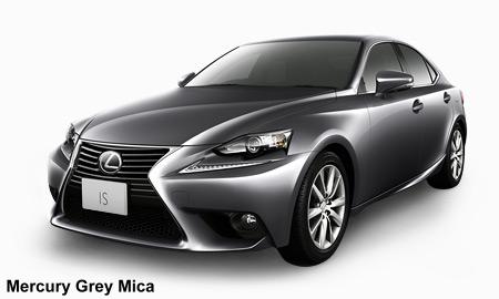 Mercury Grey Mica