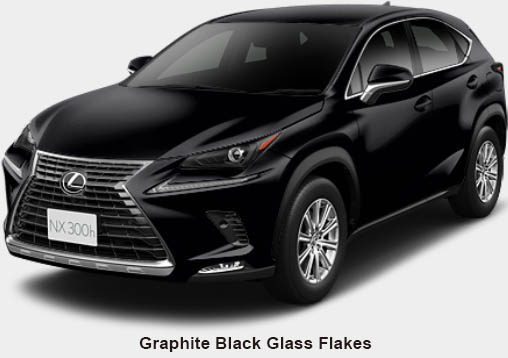 New Lexus NX300h body color: Graphite Black Glass Flakes