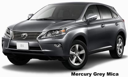 Mercury Grey Mica
