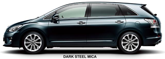 DARK STEEL MICA