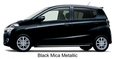 Black Mica Metallic
