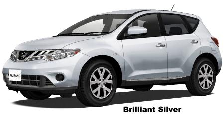 Brilliant Silver