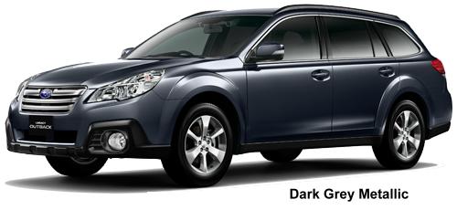 Dark Grey Metallic