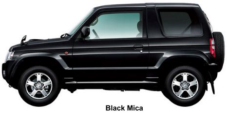 Black Mica