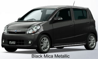 Black Mica Metallic