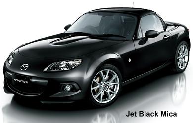 Jet Black Mica