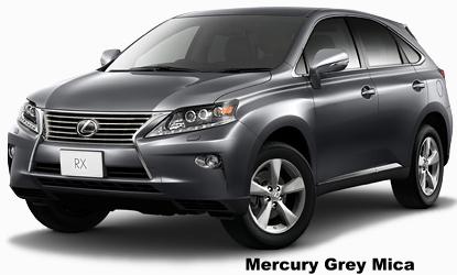 Mercury Grey Mica