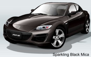 Sparkling Black Mica