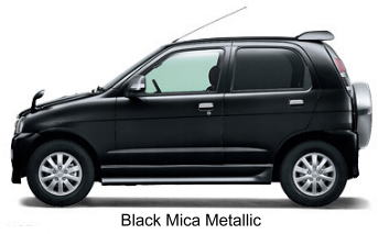 Black Mica Metallic
