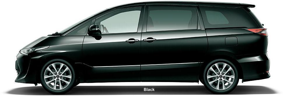 New Toyota Estima photo: Color view