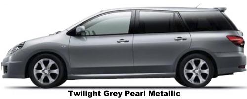 Twilight Grey Pearl Metallic
