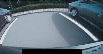 Back Guide Monitor US$120