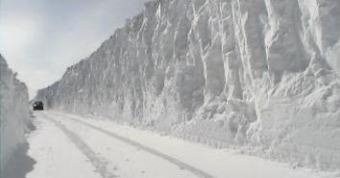 Cold Area Mod US$380